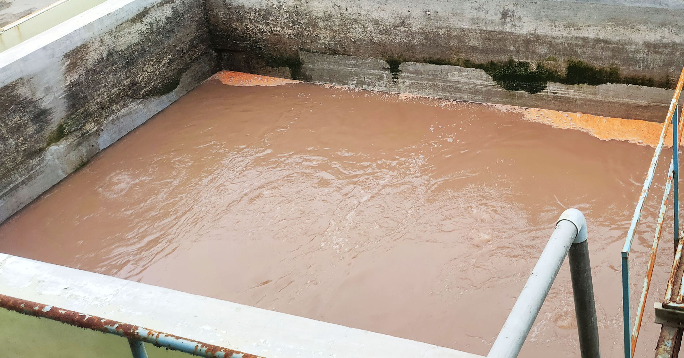Food Process Factory Effluent Pump Replacement in Andhra Pradesh, India