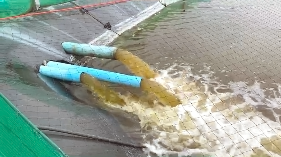 Shrimp Farm Water System in Chachoengsao, Thailand