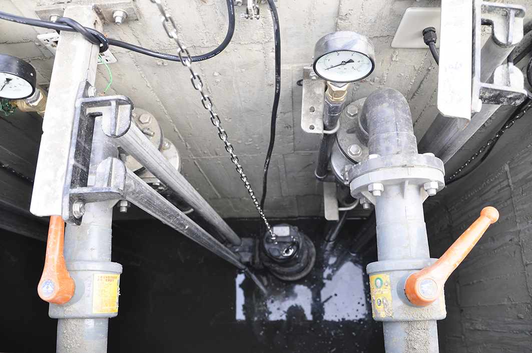 Old railroad bridge wetland ecological park at Dashu dist, Kaohsiung city – The new project of water quality improvement.