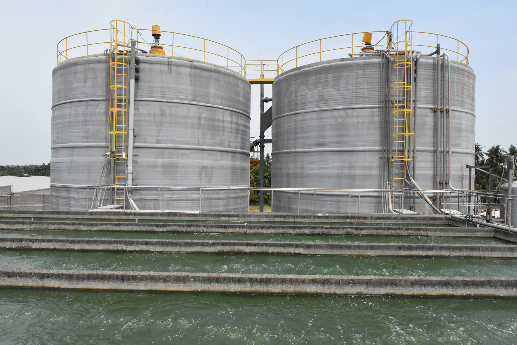 Circular Agriculture Wastewater Treatment in Pingtung, Taiwan